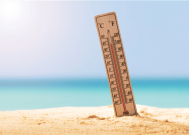今年夏天逃不掉高温了：全球平均气温正在波动上升！