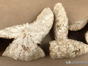 陈皮可以放冰箱吗