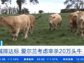 国外为减排拟宰杀20万头牛：大家别吃肉、奶制品 保护环境！