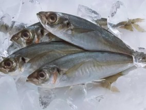 鱼肉放冰箱能放多久