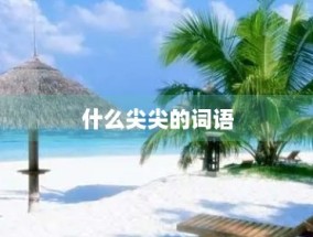 ​什么尖尖的词语(草芽尖尖还有什么尖尖的词语)