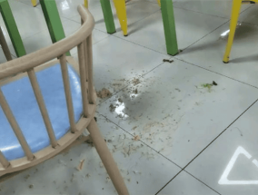 男生说猫屎臭被头上扣饭？官方回应：已经处理！
