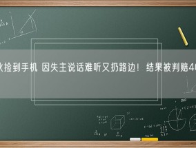 小伙捡到手机 因失主说话难听又扔路边！结果被判赔4000元！