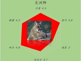 ​美洲狮酒价格