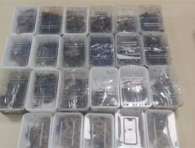 深圳邮局海关查获23只外来毒虫！内含秘鲁巨人蜈蚣！