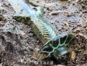 德国发现3000年前青铜剑 出土竟还在发光！