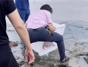 外来生物美国珍珠鳖被放生太湖 无脑放生不是积德！