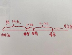 ​女性怀孕多久会停止大姨妈(怀孕多长时间会停止月经)